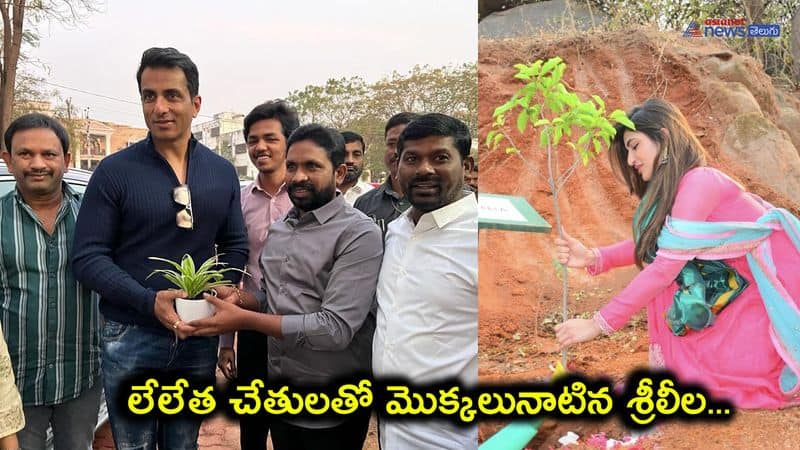 Movie actors Sonu Sood and Srileela Plants Samplings in Hyderabad