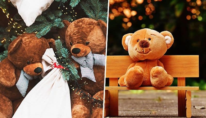 Teddy Day 2023: Adorable ways to share feelings for the couples vma