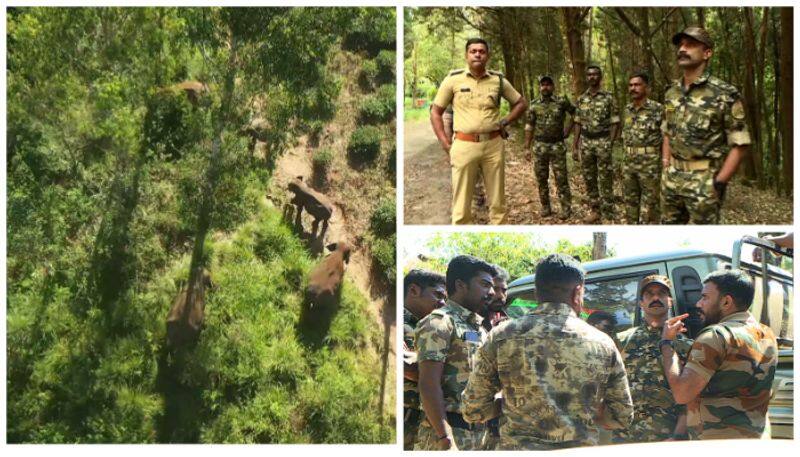 makhna forest elephant again returned to mettupalayam for people's protest