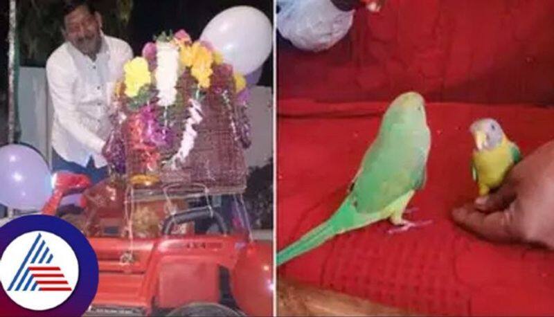 Parrot Myna bird married in big fat ceremony after horoscopes match Vin