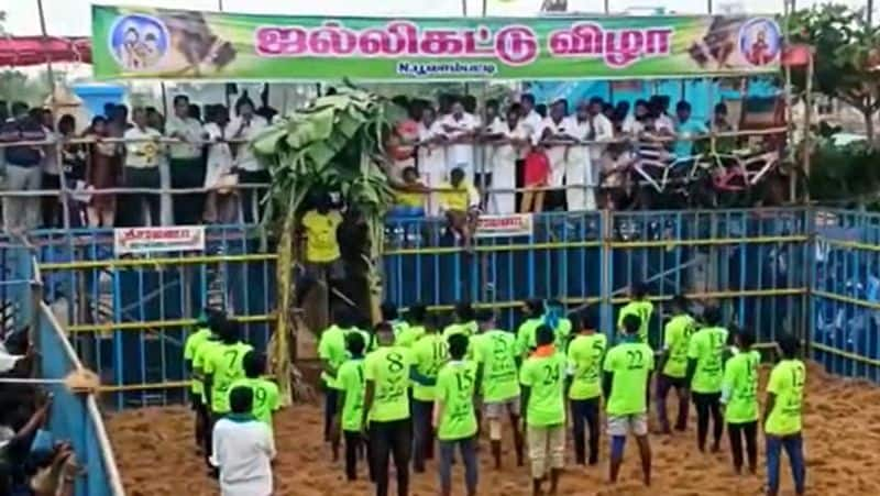 Pongal festival near Manaparai- 300 bulls participated in Jallikattu!