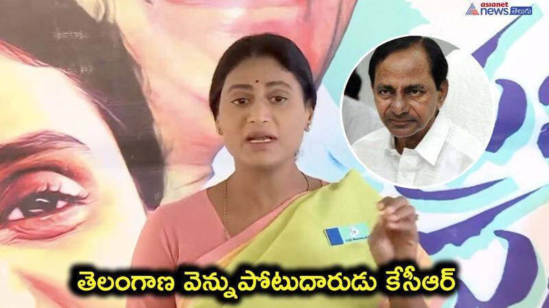 YSRTP Chief Sharmila Serious on Telangana CM KCR 