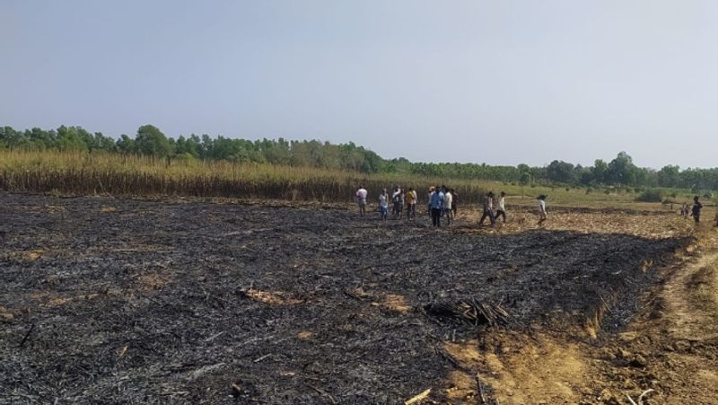 Mandya sugarcane field on fire farmer was live burnt to death sat