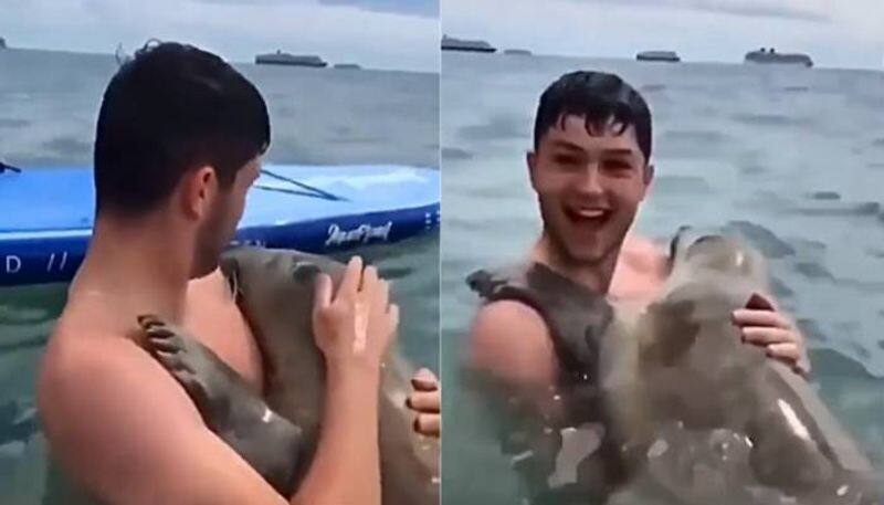 seal hugs man video went viral rlp