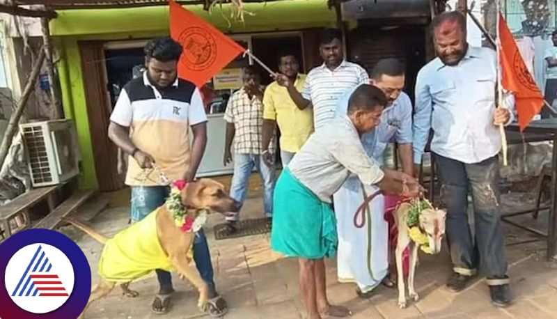 Hindu outfit in Tamil Nadu gets dogs married to protest against Valentines Day Vin