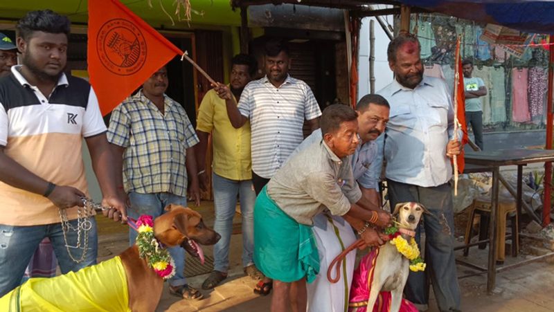 Opposition to valentine's day.. hindu munnani married dogs..!