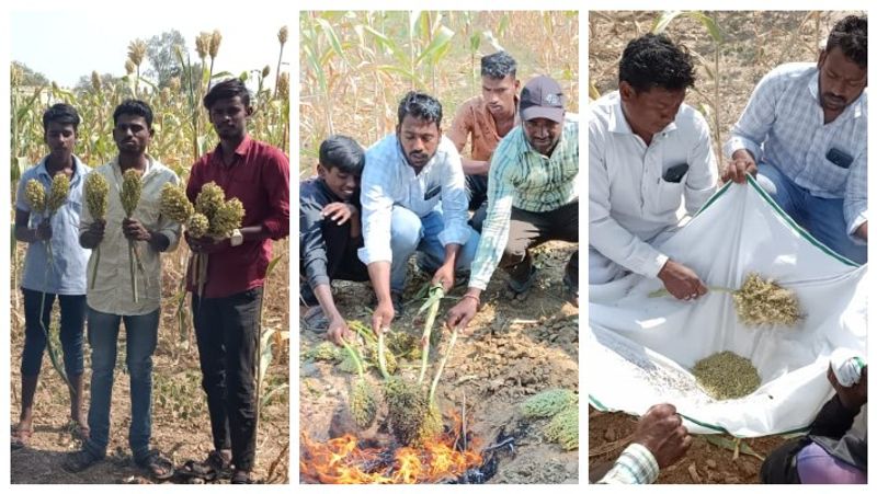 Youngsters who enjoyed eating sweet corn at Yadgir gow