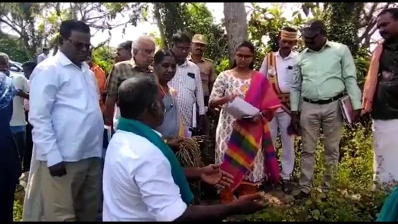 district collector charu sri inspect farm lands in thiruvarur