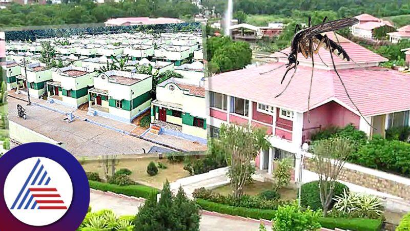 Hiware Bazar where people get reward for catching mosquitoes