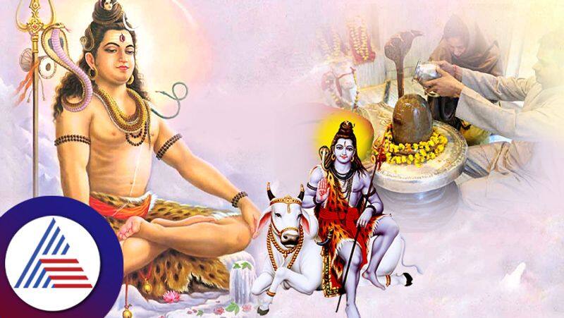 To marry your love do this puja on shivaratri pav