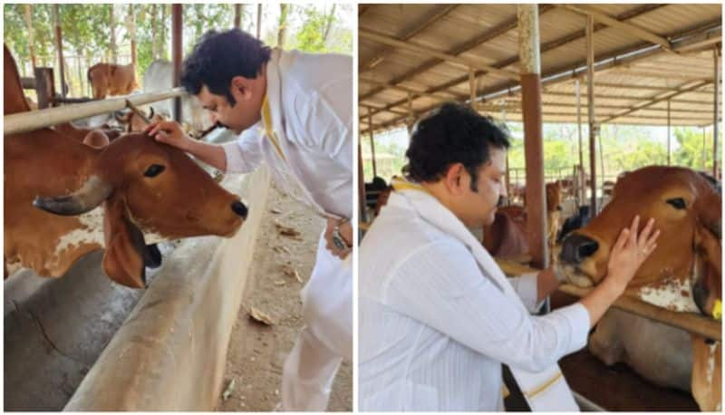 krishnakumar about his love with cows viral instagram post vvk