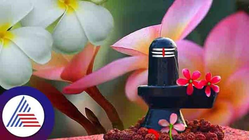 MahaShivratri 2023 Why is the Ketki and Champa flower not offered to Lord Shiva skr