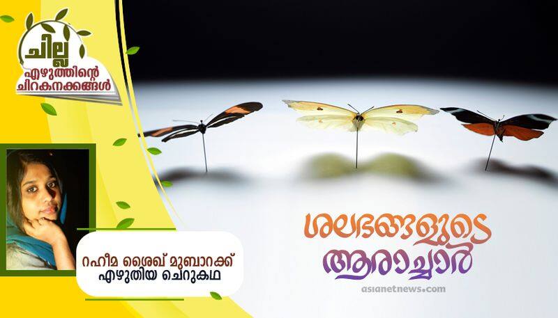 chilla malayalam  short story by Rahima Sheikh Mubarak bkg