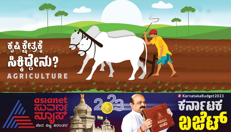 Karnataka Budget 2023 24 Agriculture sector gets boost in the budget CM Basavaraj Bommai announced new scheme for farmers  