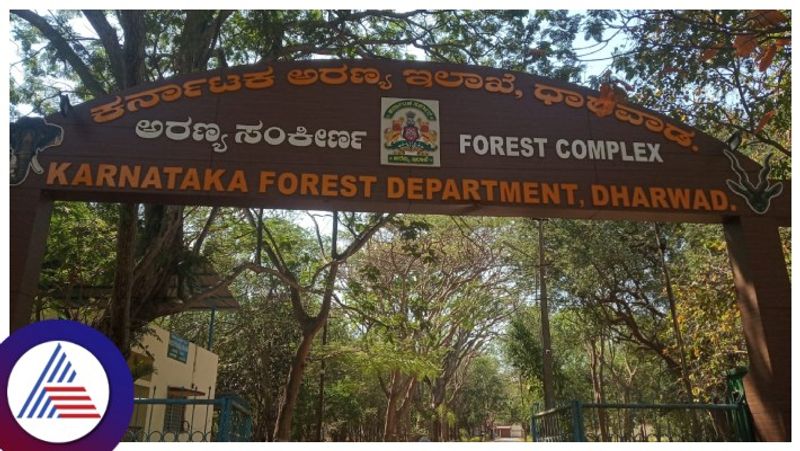 Auction of 192 trees in Dharwad gow