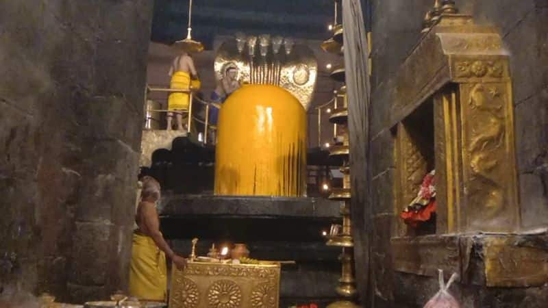 thousands of devotees arrives tanjore big temple for maha shivratri festival