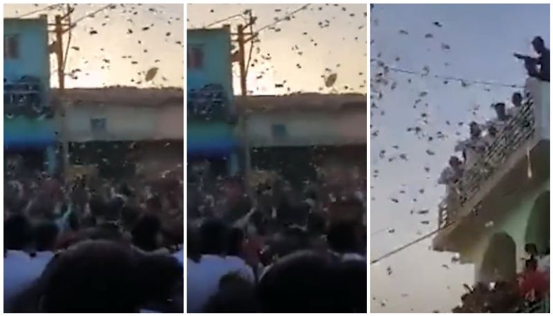 Notes worth lakhs showered at Gujarat wedding btb