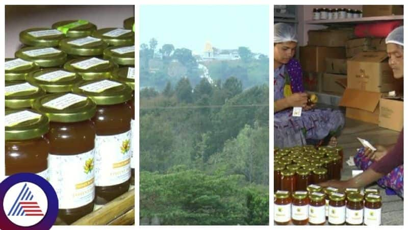 there are 4 types of honey available in Biligirirangana Hills gow