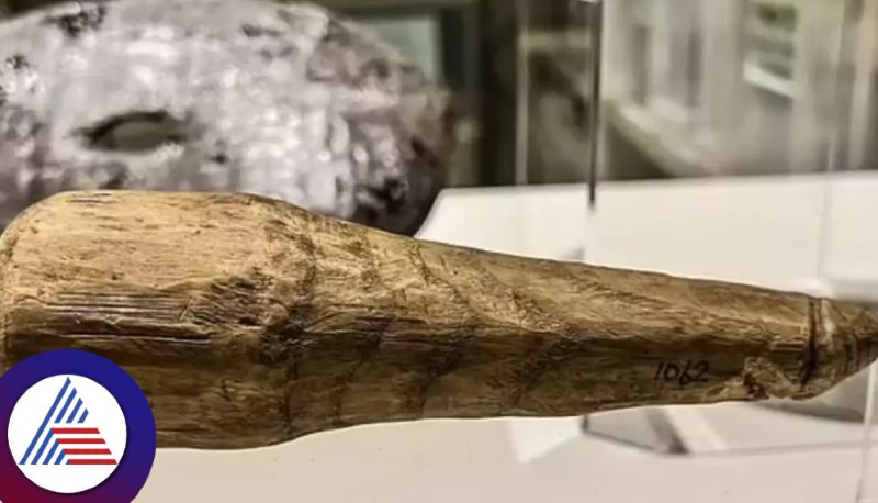 This 6.3 inch wooden object may have been used as sex toy 2000 years ago Vin