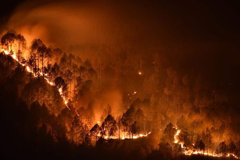 mass forest fire broken at sathuragiri hills in virudhunagar district