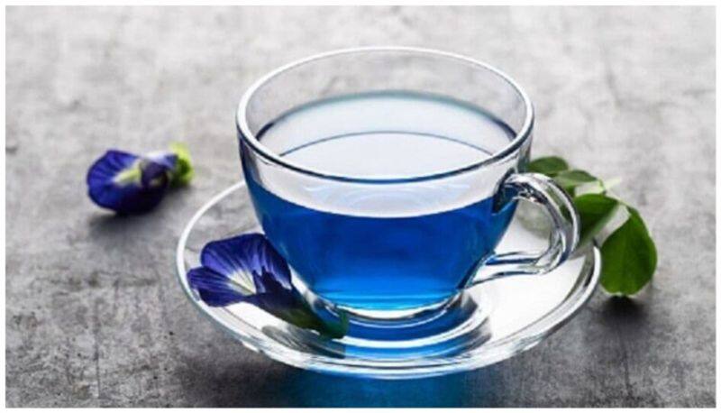  Various Uses Of Blue Tea In Tamil 