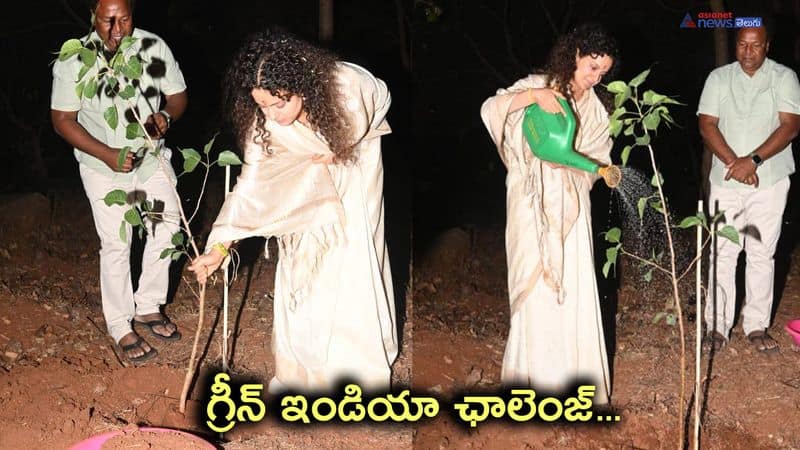 Green India Challenge ... Bollywood Beauty Kangana Ranaut planted saplings at Hyderabad  