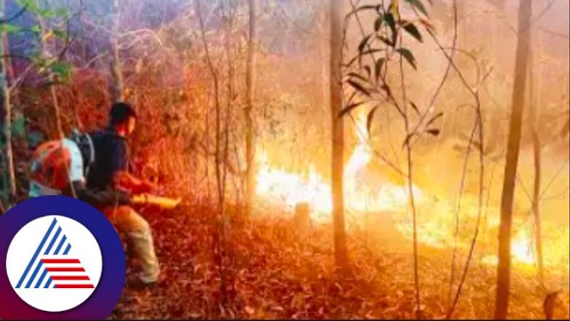 Forest fire in Kudremukh park range at chikkamagaluru rav