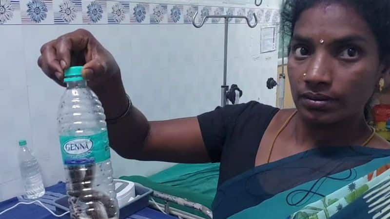 A mother caught a snake biting his son and took a water bottle