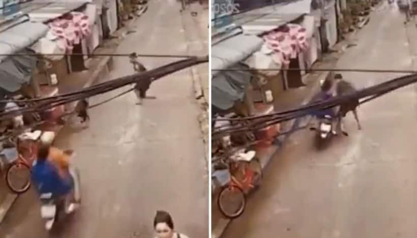 Watch: Man's lightning reflex saves toddler from being hit by bike; netizens showers praises