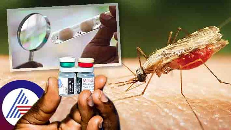 Indian scientists invented new drug for malaria, clinicla trial successfull