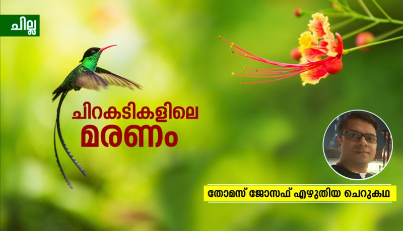 chilla malayalam  short story by Thomas Joseph bkg