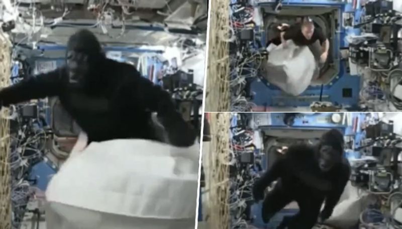 Astronaut sports Gorilla suit on ISS to prank crew member; watch old viral video - gps