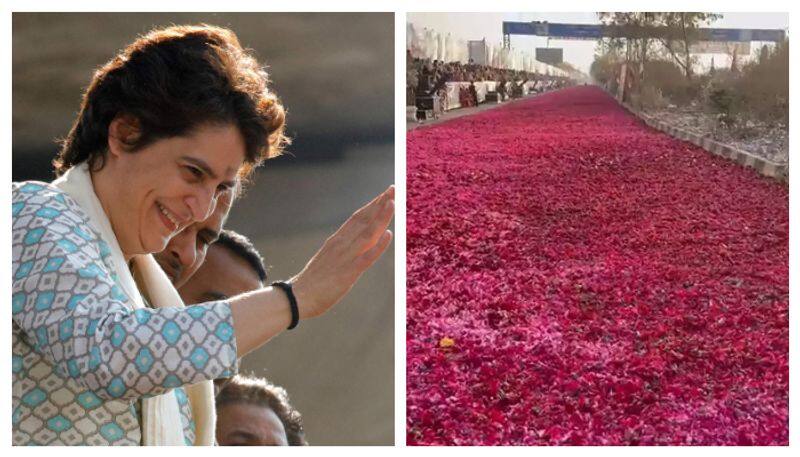 Priyanka Gandhi arrives in Raipur to attend Congress plenary, rose-carpet welcome accorded