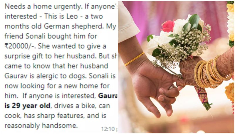 Woman puts husband up for adoption because he is allergic to dogs prm