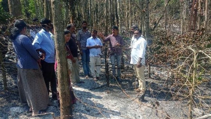 Chikkamagaluru Coffee plantation gutted by an accidental fire Farmers without direction sat