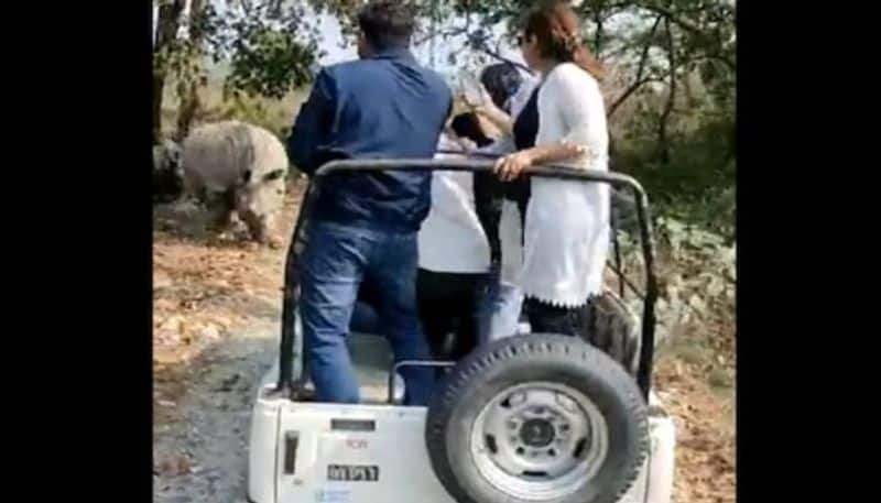 Rhinos chasing safari jeep video rlp