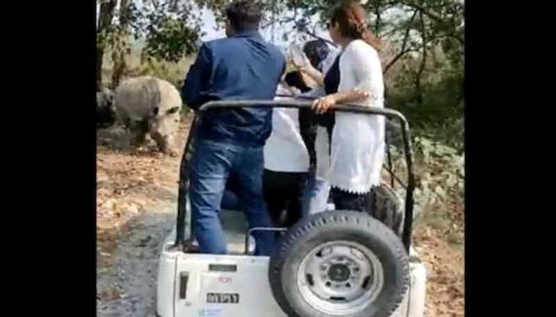 Rhinos chasing safari jeep video rlp