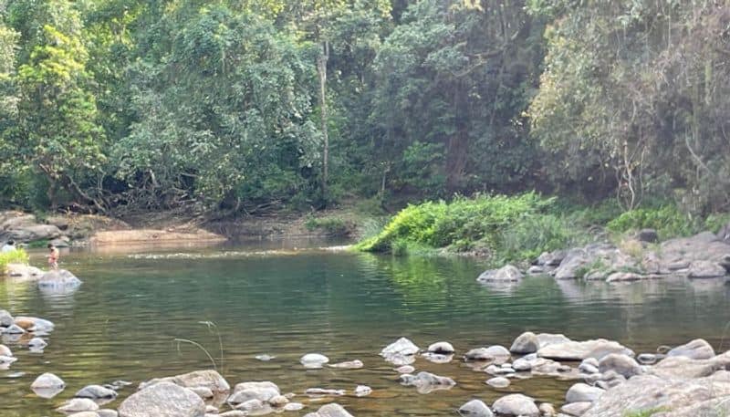 4 college students drowned cauvery river and dead in salem district