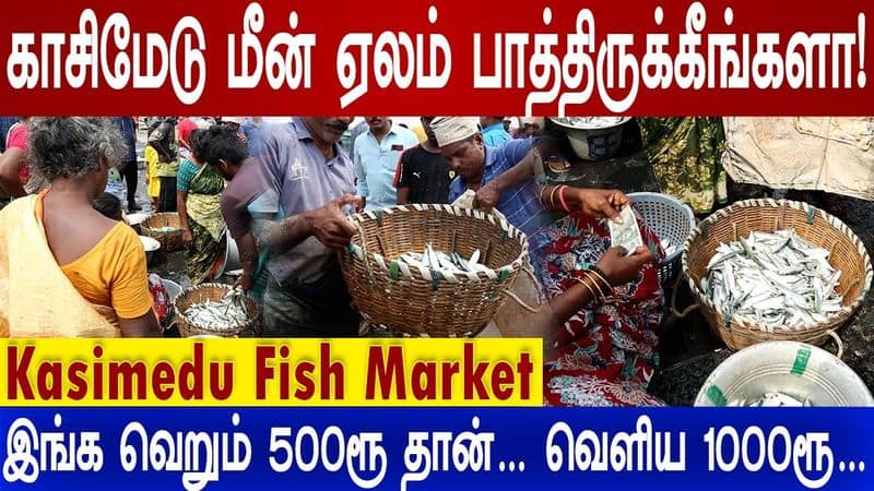 all you know about kasimedu fish market auction