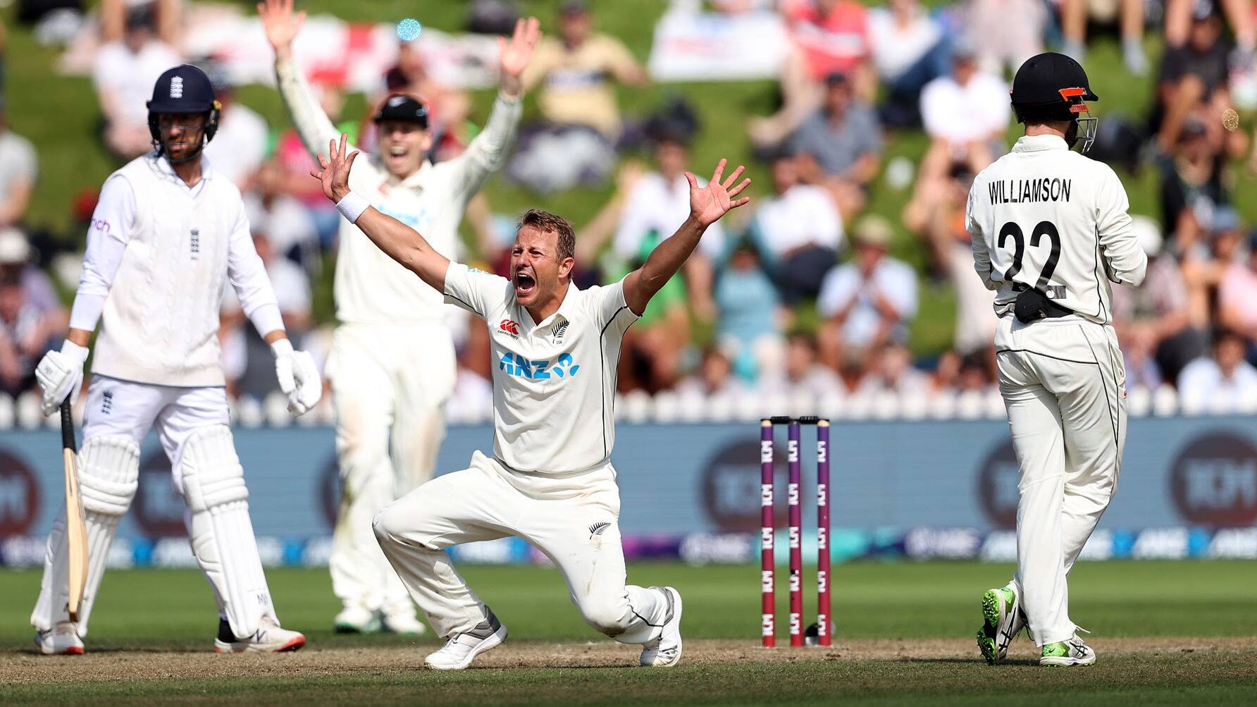 engvsnz