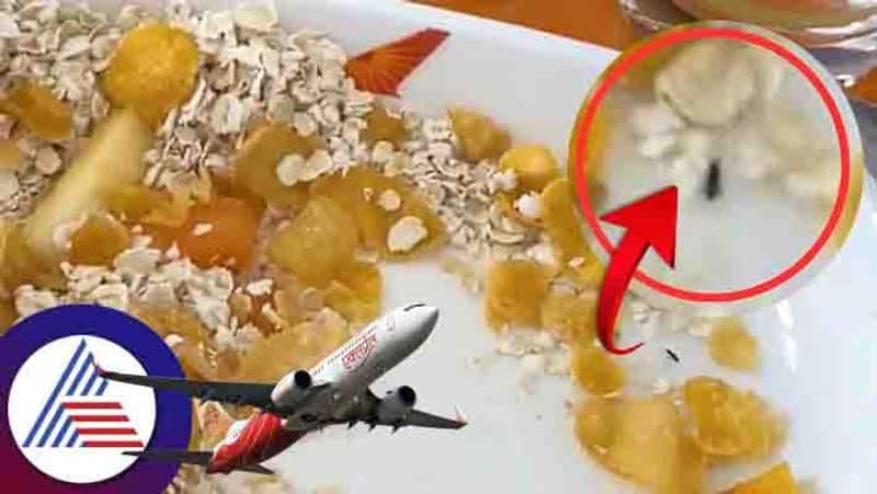 Air India Business Class Passenger Finds Insect In Food, Airline Responds Vin