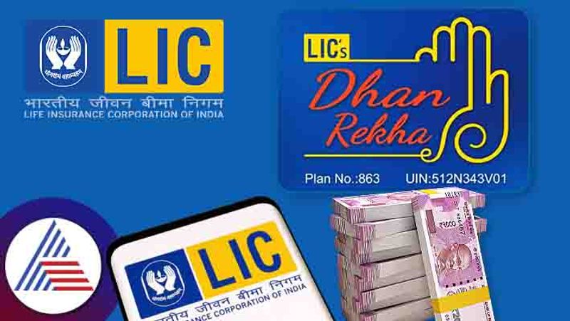 Invest around 833 rupees per month in LIC Dhan Rekha and get 1 crore apk