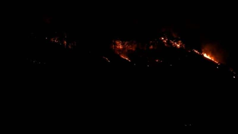 Kodaikanal - Palani road forest fire! - Forest Department battling to control