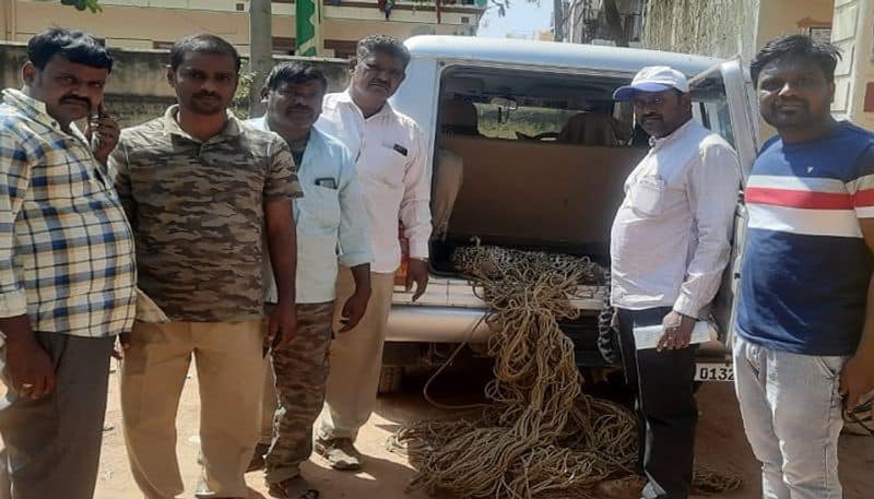 Leopard Catch at Huvina Hadagali in Vijayanagara grg