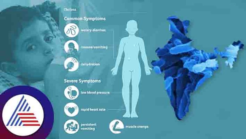 Cholera Outbreak 2023 In India