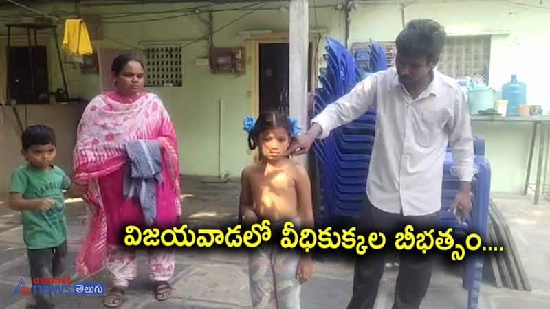 Three childrens injured in street dogs attack at Vijayawada