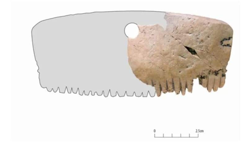 bar hill comb made by human skull found by uk archaeologists bkg 