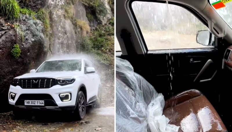 Watch Man takes Mahindra Scorpio N SUV under waterfall for free car wash; here's what happens next-tgy