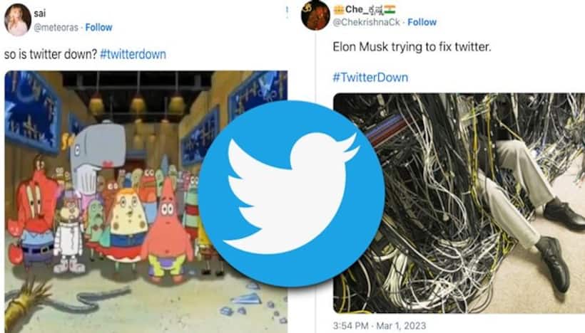 #TwitterDown trends on social media, users unable to load timeline