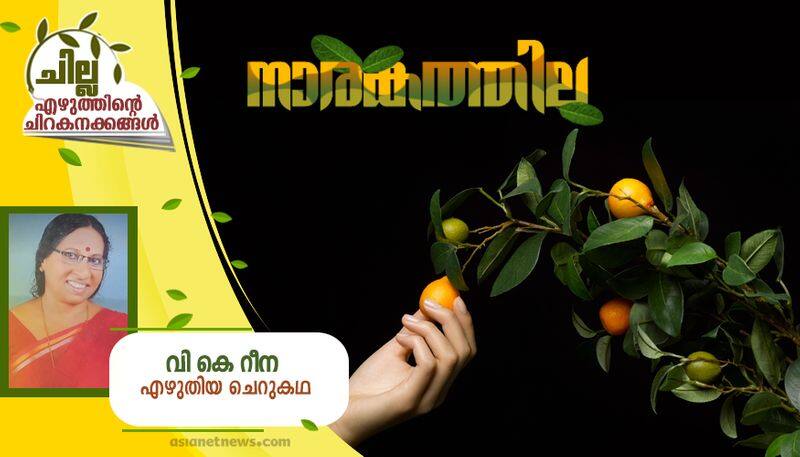 chilla malayalam short story by V K Reena bkg